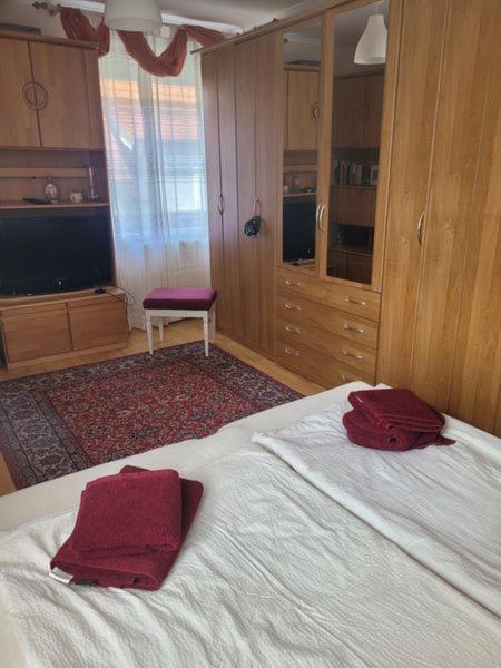 Ferienwohnung Korneuburg Bei Wien -1 Экстерьер фото